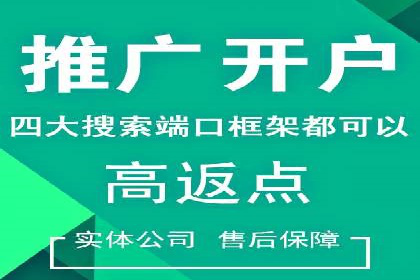 百度广告投放策略与效果评估案例